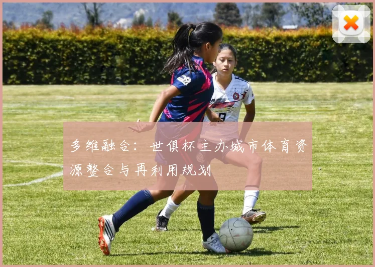 多维融合：世俱杯主办城市体育资源整合与再利用规划