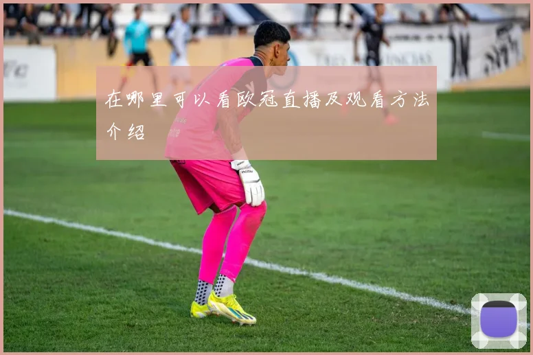 在哪里可以看欧冠直播及观看方法介绍