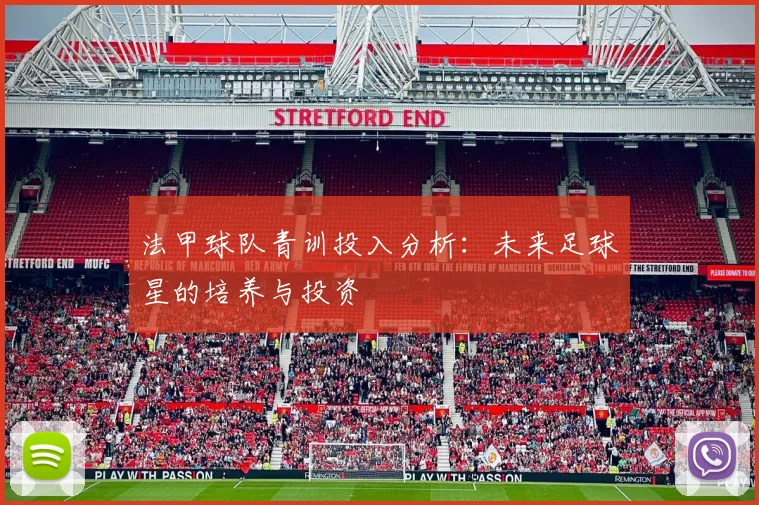 法甲球队青训投入分析：未来足球星的培养与投资