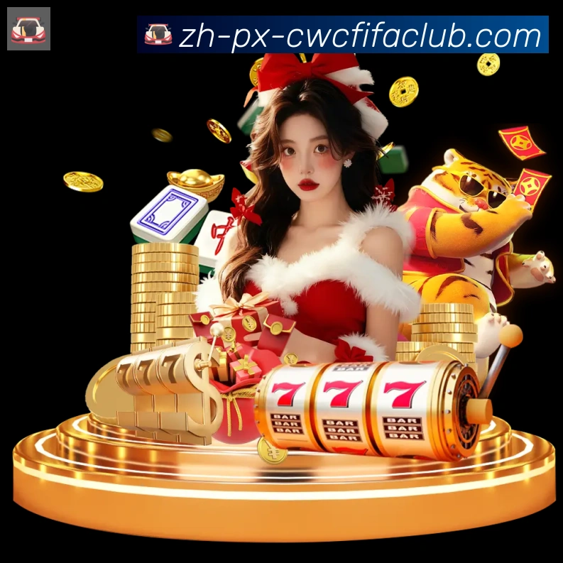 未来规划