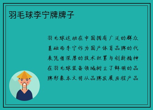 羽毛球李宁牌牌子